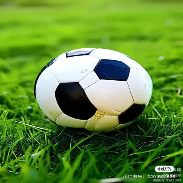 羽毛球团体赛前瞻：从战术视角解读第868组对决